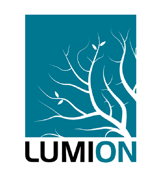 lumion.png lumion.png